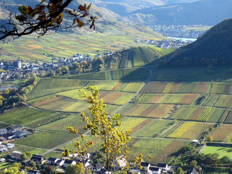 Mosel Zur Post Landkern